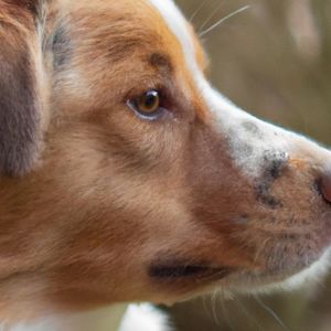 Meet your Posher, Joshua